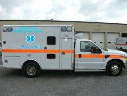 Cheatham County
